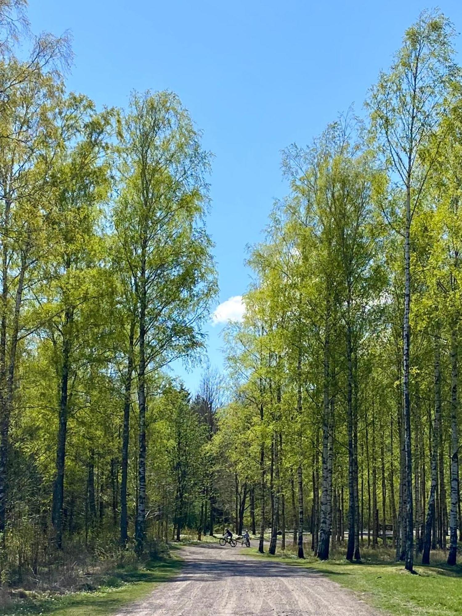 Hyggelig Leilighet Naer Stranden, Tonsberg 아파트 외부 사진